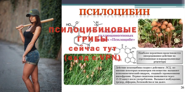 крисы Арсеньев