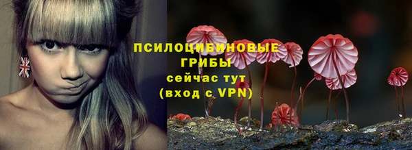 а пвп мука Аркадак